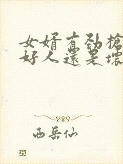 女婿有劲枪枪是好人还是坏人