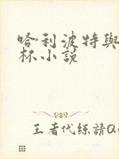 哈利波特与火焰杯小说