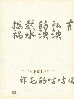 总裁的私有宝贝祸水泱泱