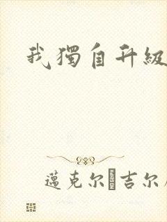 我独自升级小说