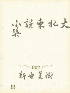 小说东北大炕全集