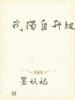 我独自升级小说