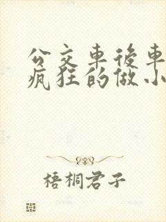 公交车后车座的疯狂的做小