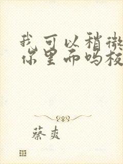 我可以稍微放进你里面吗校园版