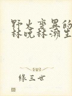 野火变异的父爱林晚林潮生