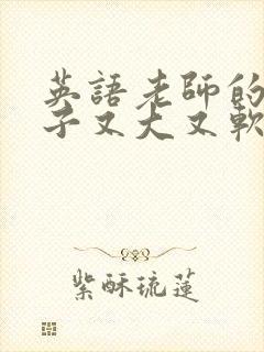 英语老师的小兔子又大又软