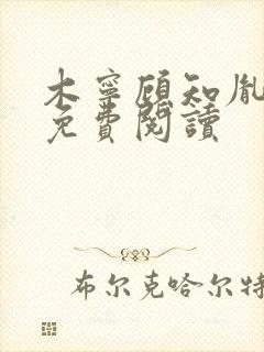 木宁顾知胤小说免费阅读