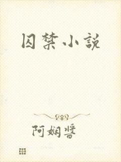 囚禁小说