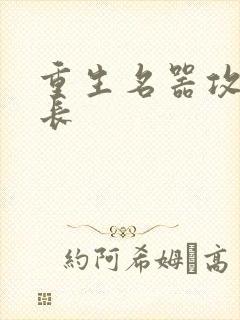 重生名器攻略兄长