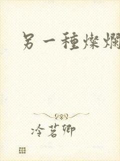 另一种灿烂生活