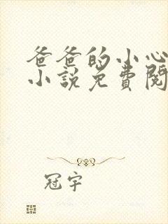 爸爸的小心肝儿小说免费阅读