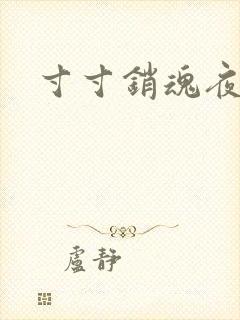 寸寸销魂夜春光