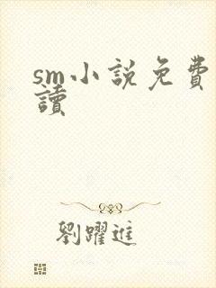 sm小说免费阅读