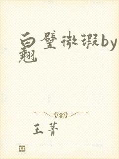 白璧微瑕by连翘