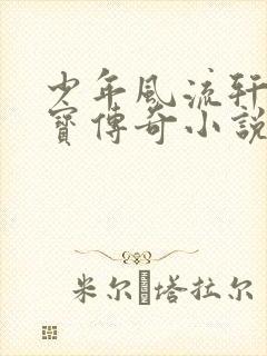 少年风流轩辕大宝传奇小说