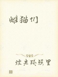 雌猫们