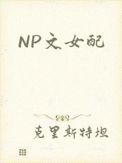 NP文女配