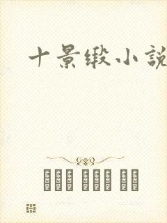十景缎小说