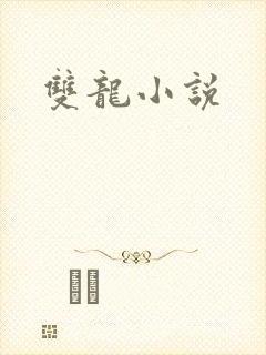双龙小说