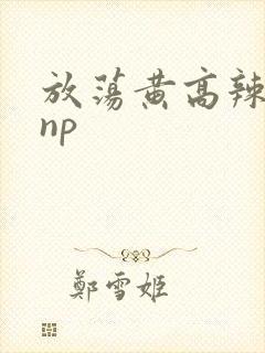 放荡黄高辣h文np