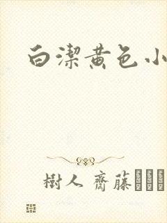 白洁黄色小说