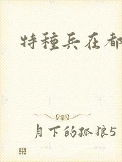 特种兵在都市