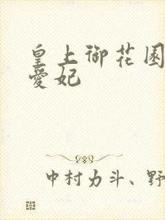 皇上御花园中要爱妃