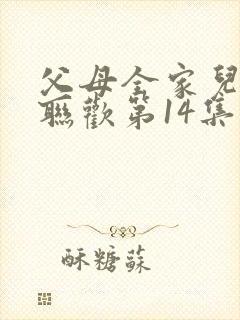 父母全家儿女大联欢第14集