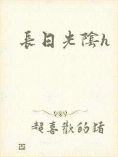 长日光阴h