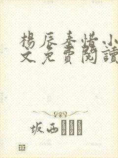 杨辰秦惜小说全文免费阅读最新