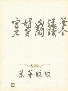 官婿凶猛笔趣阁免费阅读全文