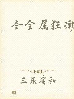 全金属狂潮小说