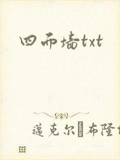 四面墙txt