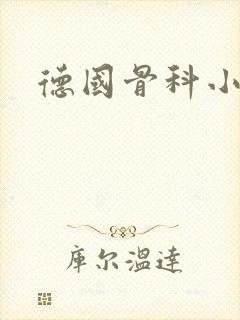 德国骨科小说