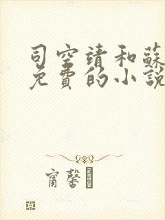 司空靖和苏月汐免费的小说笔趣阁