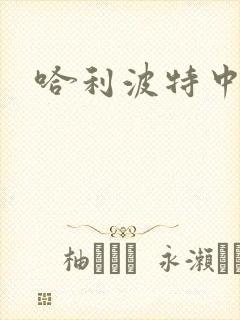 哈利波特中文版