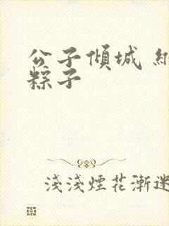 公子倾城 维和粽子