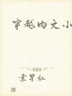 穿越肉文小说