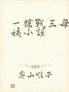 一枪战三母2雪姨小说