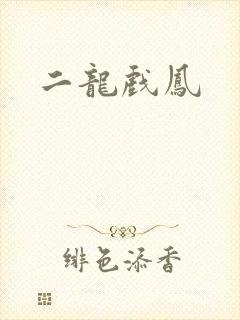二龙戏凤