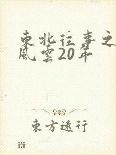 东北往事之黑道风云20年