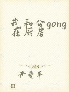 我和公gong在厨房