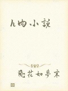 h肉小说