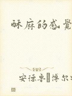 酥麻的感觉小说