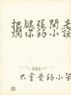 把腿张开老子臊烂你的小说