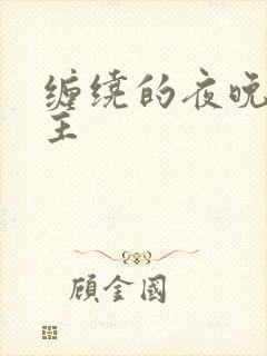 缠绕的夜晚双男主
