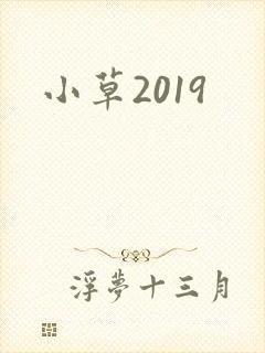 小草2019