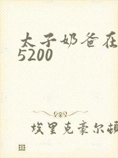 太子奶爸在花都5200