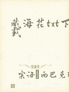 藏海花txt下载