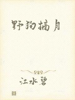 野狗摘月